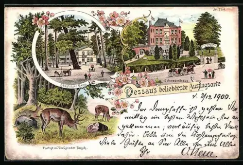 Lithographie Dessau, Gasthaus Sie Berg, Partie im Vockeroder Busch, Schwedenhaus