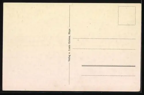 AK Hoya / Weser, Partie in der Langestrasse