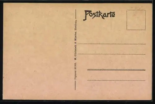 AK Sülze i. Meckl., Blick in die Salinenstrasse