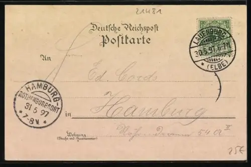 Lithographie Lauenburg / Elbe, Blick von der Elbe auf den Ort, Dampfer, Brücke