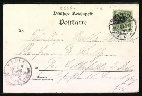 Lithographie Weissenfels, Marktplatz, Schloss, Ortsansicht mit Flusspartie