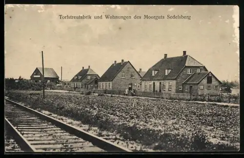 AK Sedelsberg, Torfstreufabrik und Wohnungen des Moorguts Sedelsberg