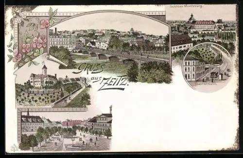 Lithographie Zeitz, Schloss Moritzburg, Drahtseilbahn, Domäne Haynsburg, Altmarkt, Ortsansicht mit Brücke