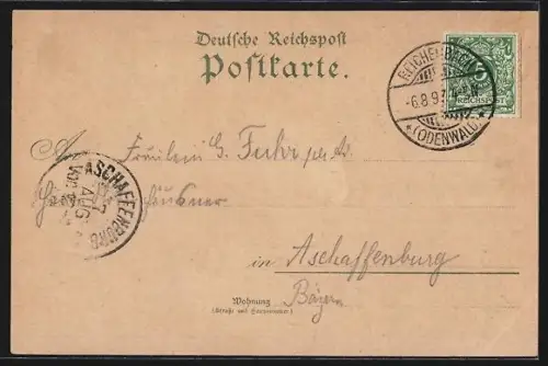 Lithographie Lautertal / Odenwald, Felsberg, Badehaus, Hotel Felsberg, Felsenmeer, Riesensäule