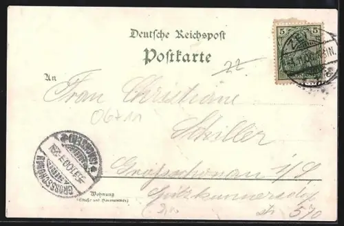 Lithographie Zeitz, Kgl. Stifts-Gymnasium, Schule am Altmarkt, Schule Pestalozzistrasse, Schule im Steinsgraben