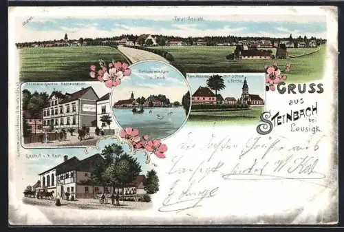 Lithographie Steinbach / Bad Lausick, Gasthof v. R. Rost, Hermann Garten Restauration, Schloss mit Park u. Teich