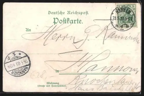 Lithographie Hameln, Hotel Bremer Schlüssel, Inh. C. Bartels, Billardsaal, Weserbrücke & Blick auf den Klüth