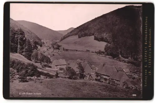 Fotografie E. Luppes, Ballenstedt, Ansicht Sieber / Harz, Blick auf den Ort mit Wohnhäusern