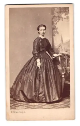 Fotografie F. Brandseph, Stuttgart, Elegante Dame im vornehmen Kleid