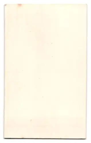 Fotografie unbekannter Fotograf und Ort, Frau in kariertem Kleid neben Tisch