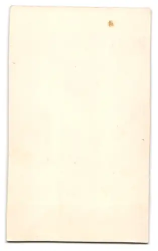 Fotografie unbekannter Fotograf und Ort, Junge Frau mit elegantem Kleid