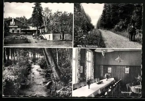 AK Hannover-Linden, Freizeitheim Klein Süntel mit Speisesaal, Steinbach, Weg zum Süntelturm