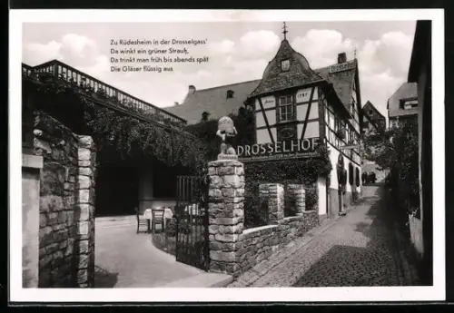 AK Rüdesheim / Rhein, Weinhaus Der Drosselhof