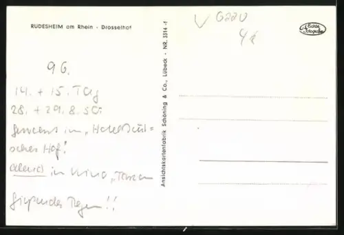 AK Rüdesheim / Rhein, Weinhaus Der Drosselhof