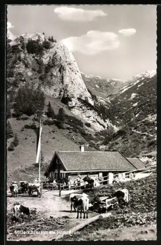AK Bischofswiesen, Berggasthaus Mitterkaseralm am Jenner, Inh. M. u. E. Resch