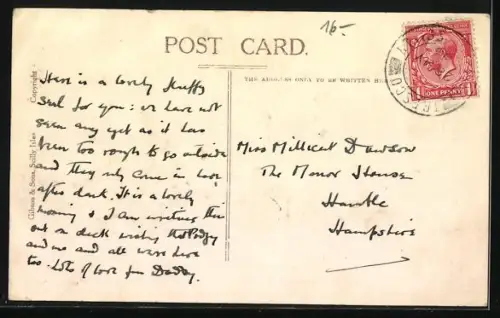 AK Grey Seal on the Rocks