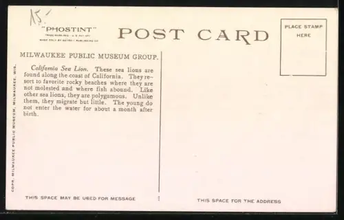 AK California Sea Lions on the Rocks