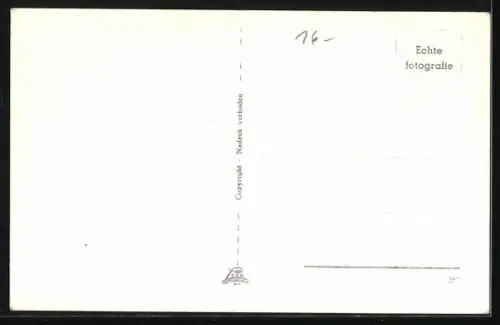 AK Ameland, Jonge zeehond koestert zich in het zonnetje tussen strand en duin