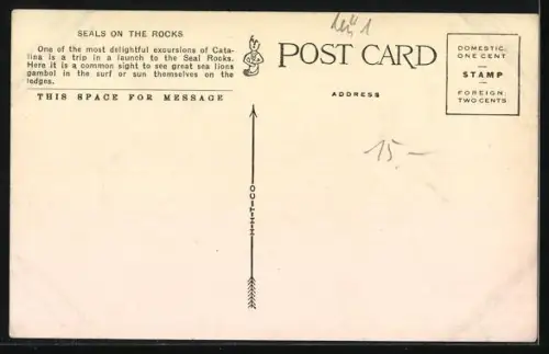 AK Santa Catalina Island, CA, Seals on the Rocks