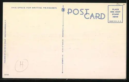 AK Saratoga Springs, NY, Saratoga Race Track, Steeplechase, Over the Water Jump