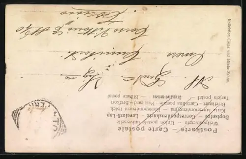 AK Deutsche Dogge (Isabellenfarb.), Portrait