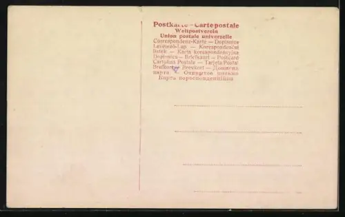 AK Collie, Seitenportrait