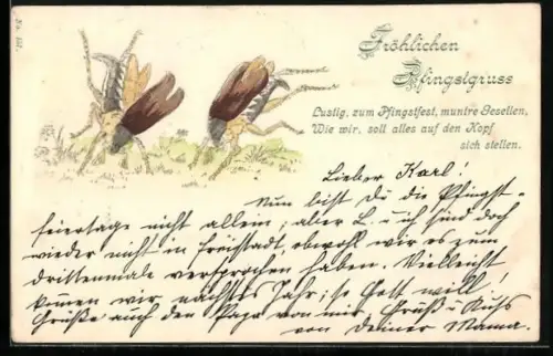 Präge-Lithographie Zwei Maikäfer, sich kopfüber im Gras tummelnd, Pfingstgruss