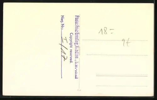 Foto-AK Trompetender Elefant auf einem Feld