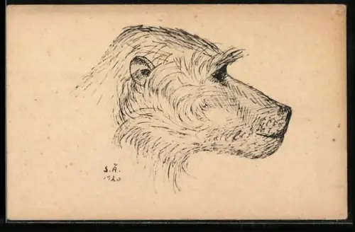 AK Affe, Portrait von der Seite