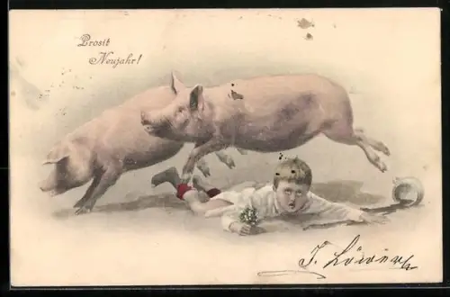 AK Schweine springen über einen liegenden Knaben, Neujahrsgruss