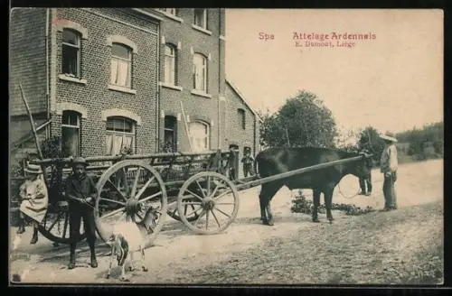 AK Spa, Attelage Ardennais