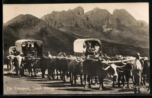 AK South Africa, Ox Transport