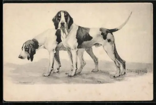 AK Zwei Jagdhunde im Gelände, Portrait