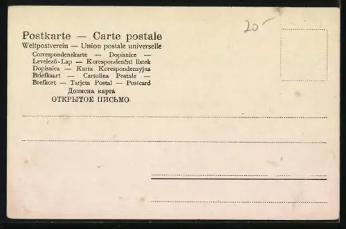 AK Zwei Jagdhunde im Freien, Portrait