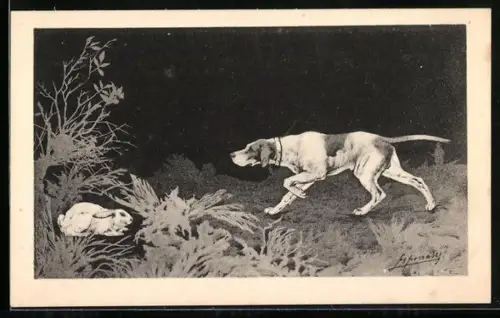 AK Jagdhund spürt einen Hasen auf