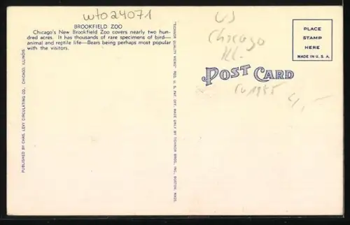 AK Chicago, Illinois, Brookfield Zoo, Kodiac Bears