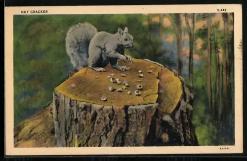 AK Eichhörnchen knackt Nüsse auf einem Baumstumpf