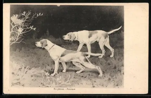 AK En plaine, Pointers, Jagdhunde schnüffeln