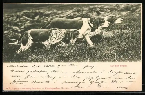 AK Auf der Suche, Drei Jagdhunde im Gelände