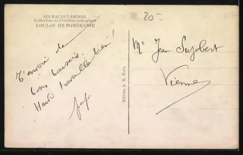 Foto-AK Bellender Spitz im Freien