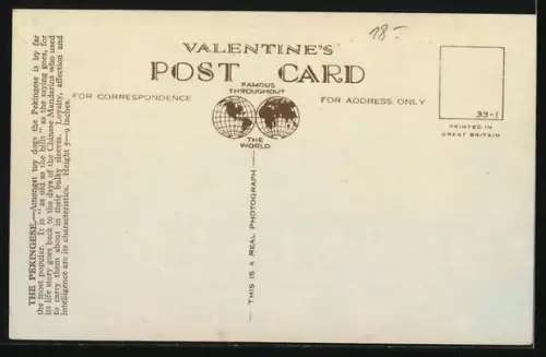 AK The Pekinese, Portrait