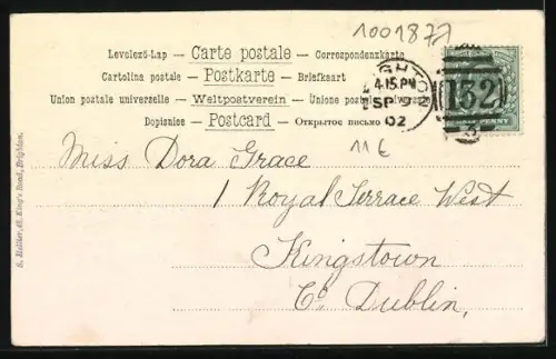 AK Schwarzer Pudel mit Pudelfrisur, Portrait