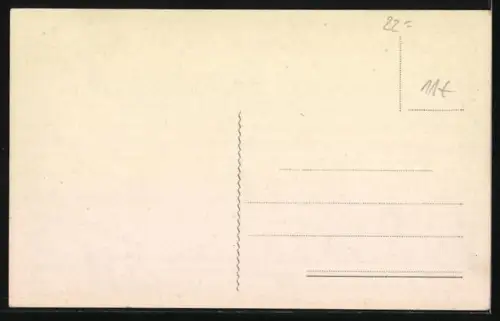 AK Schwarzer Hund mit fünf Wwelpen