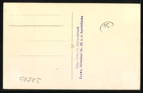 AK Weisser Spitz auf einem Polster, Portrait