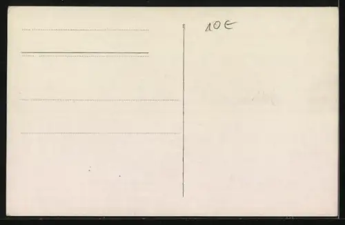 Foto-AK Packesel auf einer Strasse