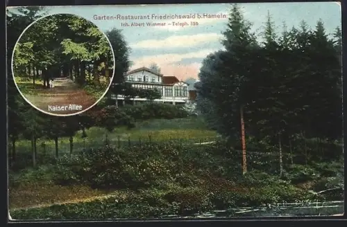 AK Hameln, Garten-Restaurant Friedrichswald, Kaiser Allee, Inh. Albert Wimmer