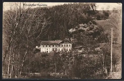 AK Tauchlitz b. Crossen, Gasthaus Felsenkeller mit Umgebung