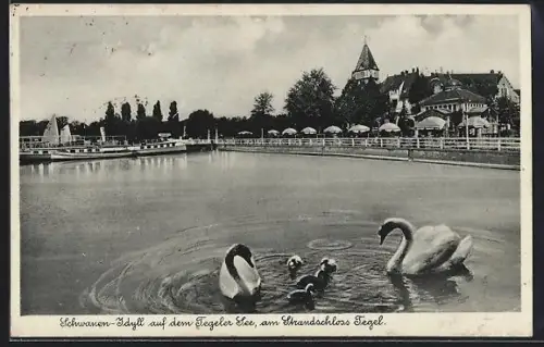 AK Berlin-Tegel, Strandbad Tegel, Strandschloss, Schwanen-Idyll auf dem Tegeler See