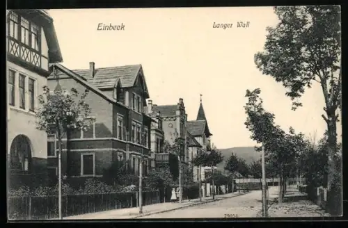 AK Einbeck, Strasse Langer Wall mit Villen