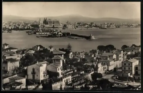 AK Palma de Mallorca, La Catedral desde el Terreno